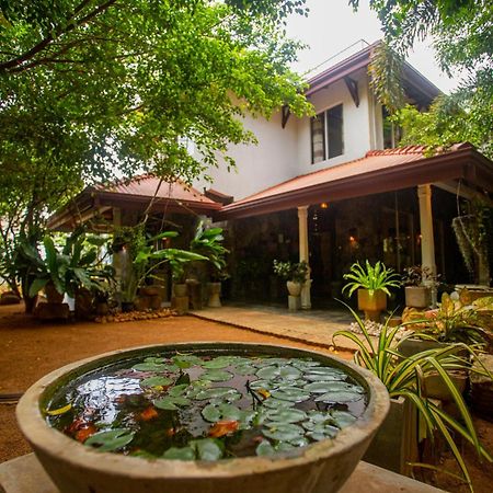 Evergreen Hotel Dambulla Εξωτερικό φωτογραφία